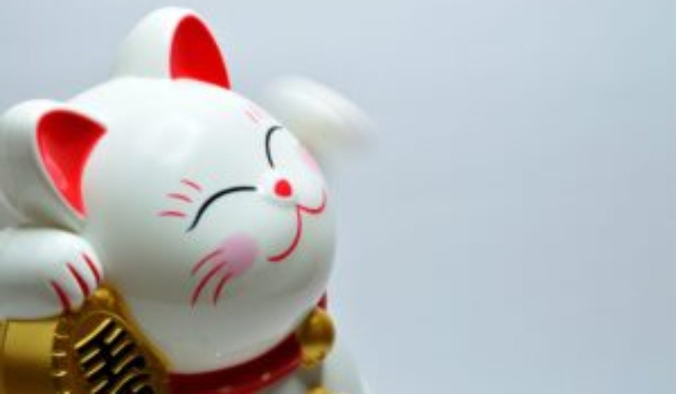 pexels-miguel-á-padriñán-932261