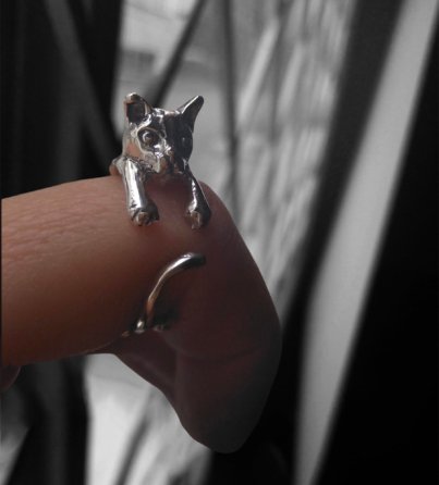 Anillo Gato